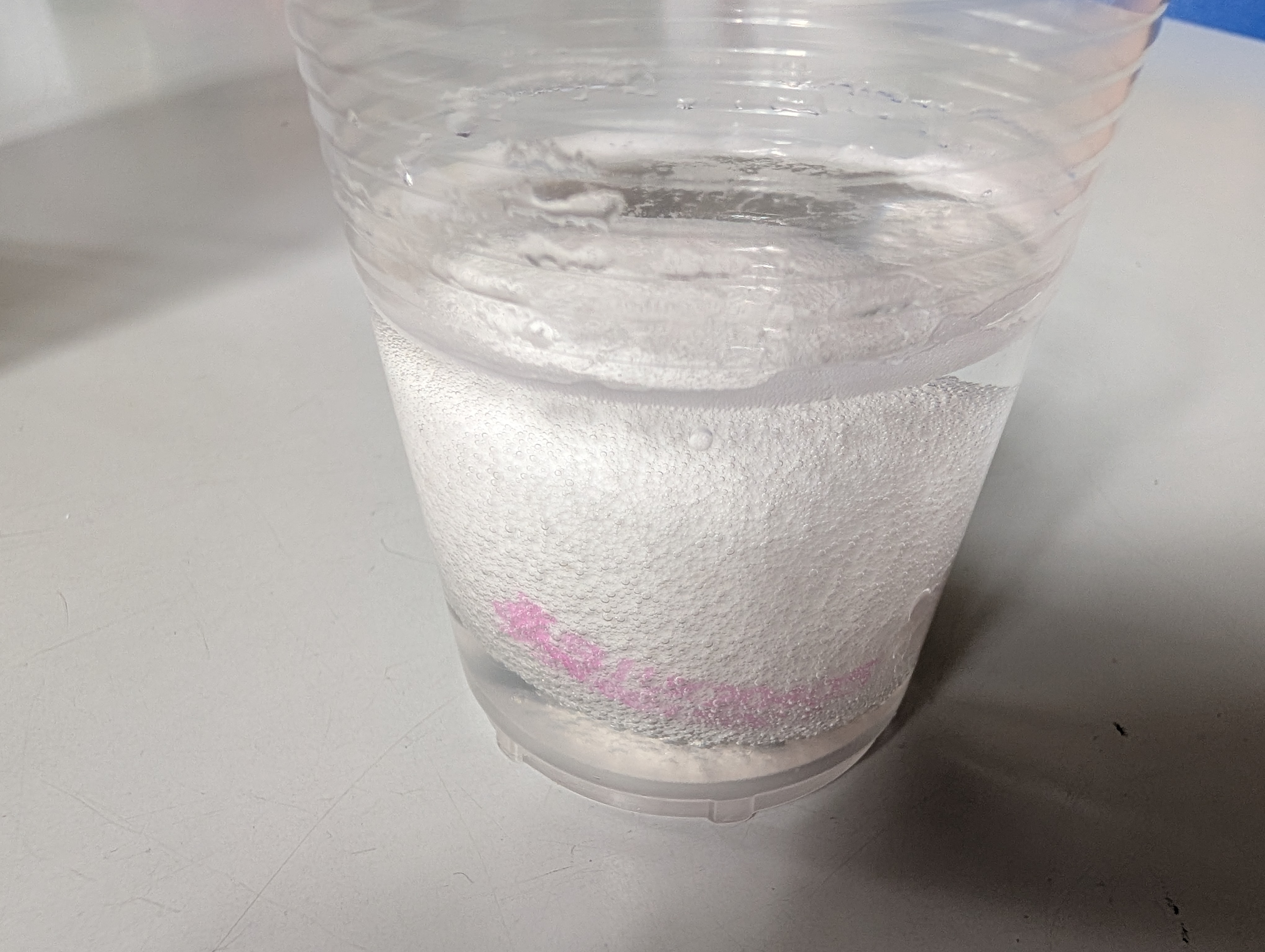 Year 4 science digestion experiment 7